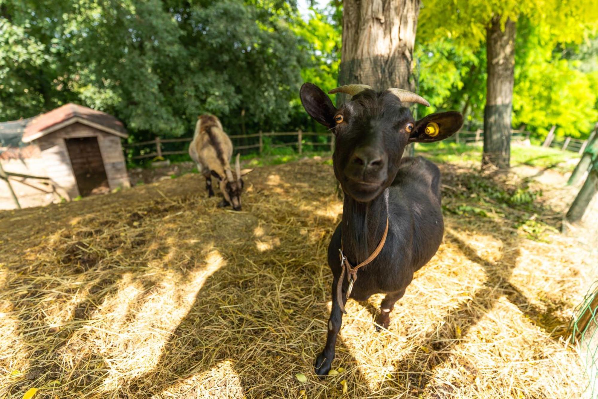 Agriturismo Colle Dei Pivi ปอนติ ซุล มินโช ภายนอก รูปภาพ